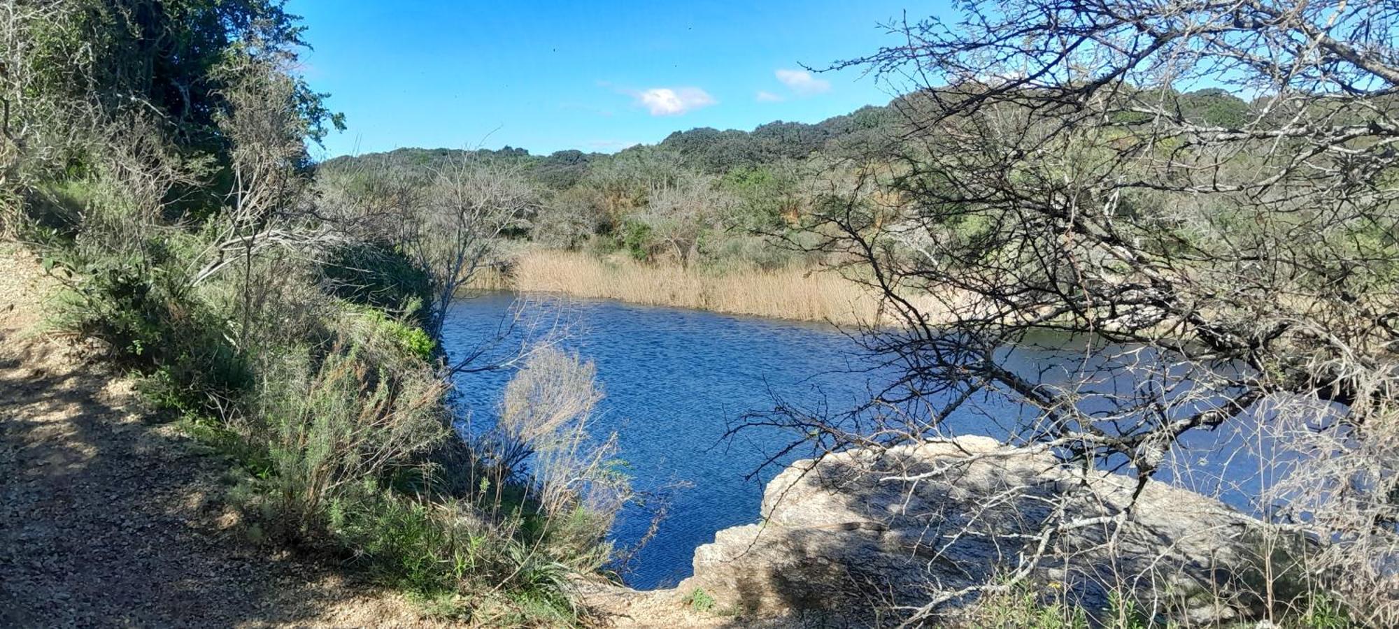 Rios Que Nos Unen Colonia del Sacramento Exteriör bild